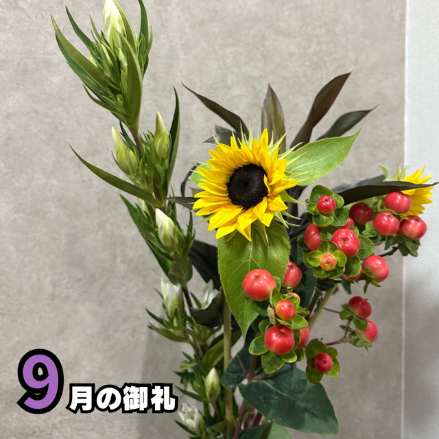 9月もありがとうございました‼️