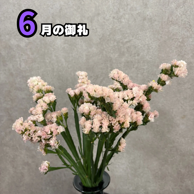 6月もありがとうございました‼️