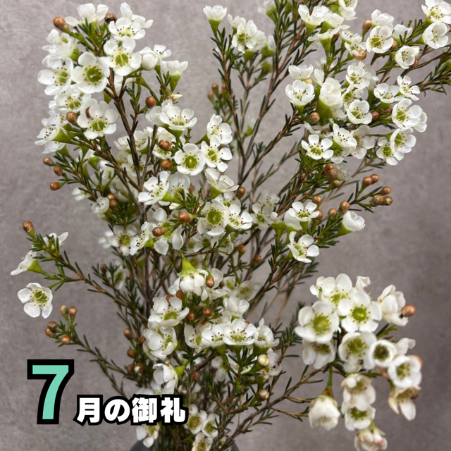 7月もありがとうございました‼️