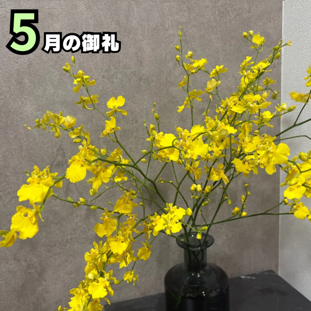 5月もありがとうございました❗️