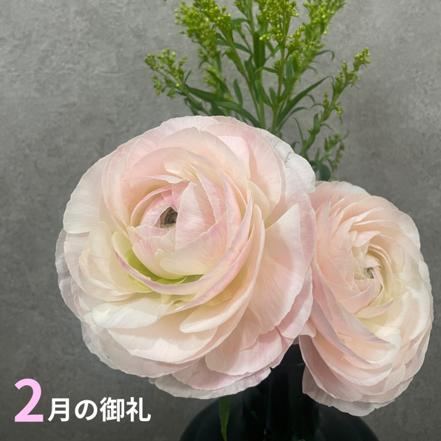 2月もありがとうございました‼️