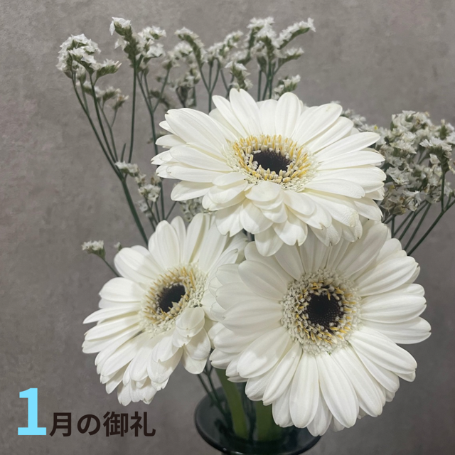 1月もありがとうございました‼️