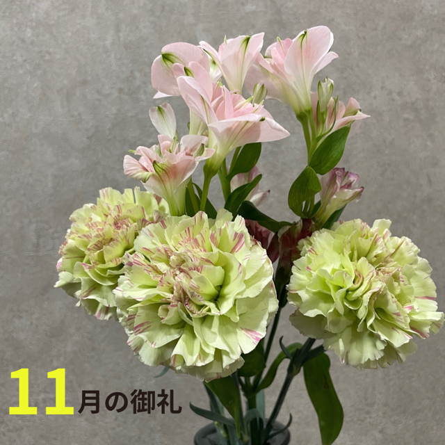 11月もありがとうございました‼️